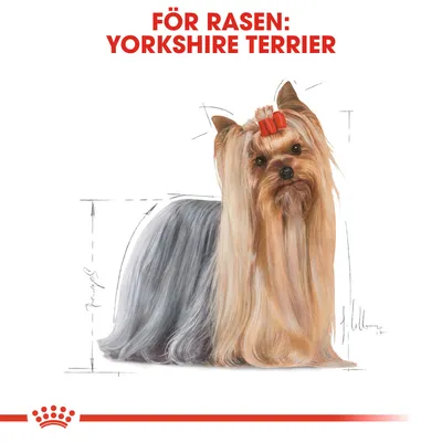 Text: FÖR RASEN: YORKSHIRE TERRIER. Illustration av en Yorkshire Terrier med röd rosett, omgiven av skissade måttlinjer. Royal Canin-krona synlig längst ner.