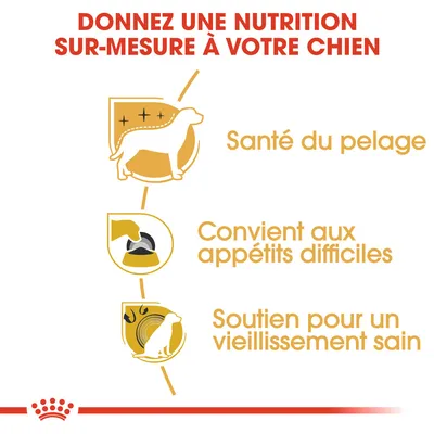 Texte : Donnez une nutrition sur-mesure à votre chien. Santé du pelage. Convient aux appétits difficiles. Soutien pour un vieillissement sain.