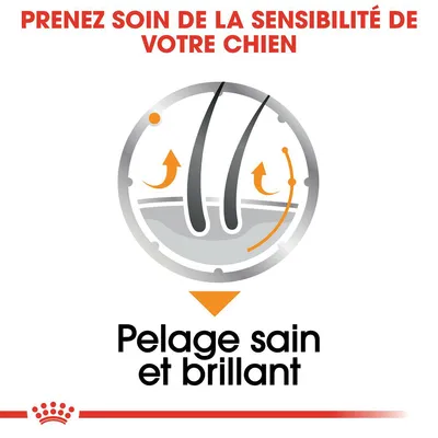 Prenez soin de la sensibilité de votre chien. Pelage sain et brillant.