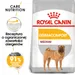 Royal Canin Medium Dermacomfort