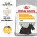 Royal Canin Mini Dermacomfort