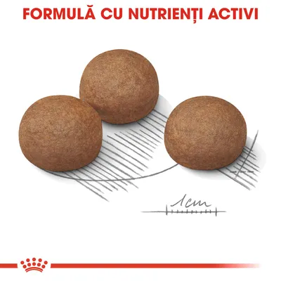 Trei crochete rotunde, diametru aproximativ 1 cm, text deasupra: FORMULĂ CU NUTRIENȚI ACTIVI. Linie de referință pentru dimensiune desenată sub crochete.