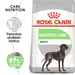 Royal Canin Maxi Digestive Care
