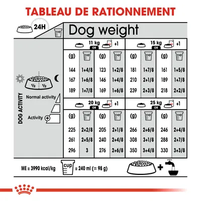 Tableau de rationnement pour chiens 11, 15, 20 et 25 kg selon activité, avec quantités en grammes et tasses, indication ME 3990 kcal/kg, cup = 240 ml (≈98 g), eau recommandée.