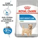Royal Canin Mini Light Weight Care Crocchette per cane