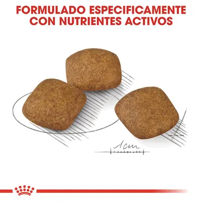 Tres croquetas cuadradas de pienso, tamaño aproximado 1 cm. Texto: Formulado específicamente con nutrientes activos.