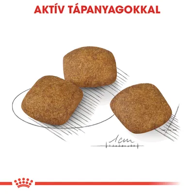 Három szögletes táp szem, alatta 1 cm-es méretjelzés. Felül: AKTÍV TÁPANYAGOKKAL. Royal Canin márkajelzés alul.