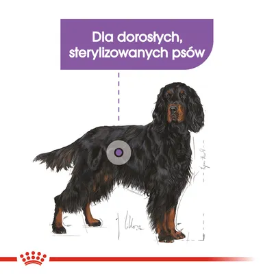 Tekst: Dla dorosłych, sterylizowanych psów. Ilustracja czarnego psa z brązowymi akcentami, grafika Royal Canin.