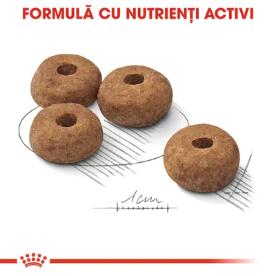 Patru crochete rotunde, diametru aproximativ 1 cm, text: FORMULĂ CU NUTRIENȚI ACTIVI