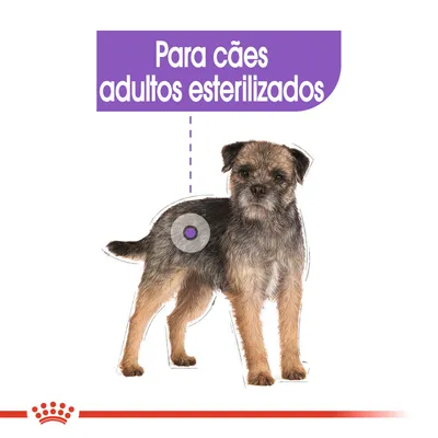 Texto visível: Para cães adultos esterilizados, com imagem de um cão pequeno de pelo castanho e preto.