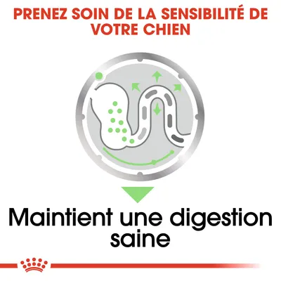 Prenez soin de la sensibilité de votre chien. Maintient une digestion saine.