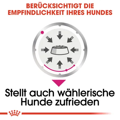 Berücksichtigt die Empfindlichkeit Ihres Hundes. Stellt auch wählerische Hunde zufrieden.
