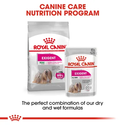 Royal Canin Exigent dry and wet food shown with text: Canine Care Nutrition Program. The perfect combination of our dry and wet formulas. 99% preferred result claim visible.