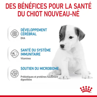Des bénéfices pour la santé du chiot nouveau-né : développement cérébral (DHA), santé du système immunitaire (vitamines), soutien du microbiome (prébiotiques, protéines hautement digestibles).