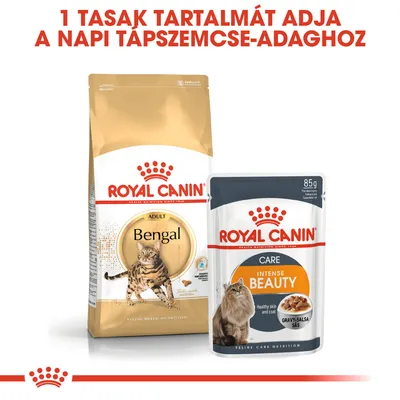 1 tasak tartalmát adja a napi tápszemcse-adaghoz. Royal Canin Bengal száraztáp és Royal Canin Intense Beauty Care 85 g nedves eledel macskáknak csomagolásban.