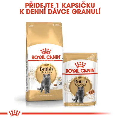 ROYAL CANIN British Shorthair Adult granule a kapsička, nápis: Přidejte 1 kapsičku k denní dávce granulí. Na obalech obrázek britské krátkosrsté kočky.
