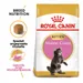 Royal Canin Maine Coon Kitten