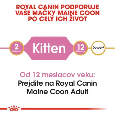 Royal Canin podporuje mačky Maine Coon po celý život. Od 12 mesiacov prejdite z Kitten na Royal Canin Maine Coon Adult. Prechod od 2 mesiacov (Kitten) do 12 mesiacov (Dospelý).
