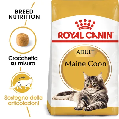 Royal Canin Adult Maine Coon, crocchetta su misura, sostegno delle articolazioni. Immagine di un gatto Maine Coon e della confezione del prodotto.