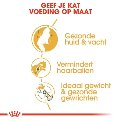 Tekst: Geef je kat voeding op maat. Gezonde huid & vacht, vermindert haarballen, ideaal gewicht & gezonde gewrichten. Illustraties van kat en symbolen bij elke claim.