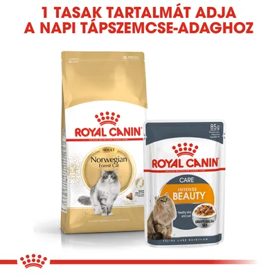 Royal Canin Norwegian Forest Cat száraztáp és Royal Canin Intense Beauty Care 85 g alutasakos eledel. Felirat: 1 tasak tartalmát adja a napi tápszemcse-adaghoz.