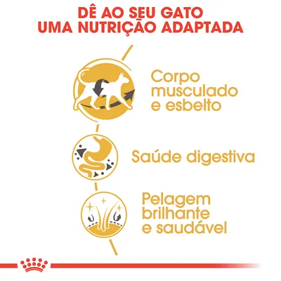 Dê ao seu gato uma nutrição adaptada: corpo musculado e esbelto, saúde digestiva, pelagem brilhante e saudável.
