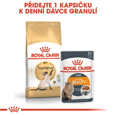 ROYAL CANIN Adult Siamese granule a ROYAL CANIN Care Intense Beauty kapsička 85 g. Text: Přidejte 1 kapsičku k denní dávce granulí.