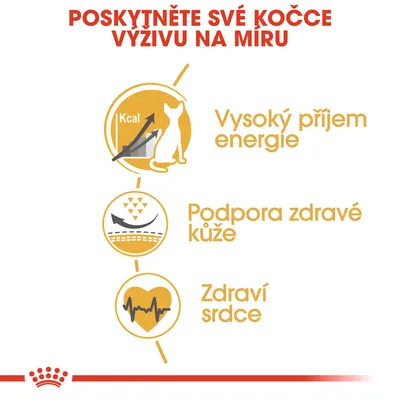 Poskytněte své kočce výživu na míru: vysoký příjem energie, podpora zdravé kůže, zdraví srdce. Grafika s ikonami a textem.