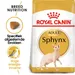 Royal Canin Sphynx Adult - Kattenvoer