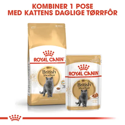 Royal Canin British Shorthair Adult i saus
