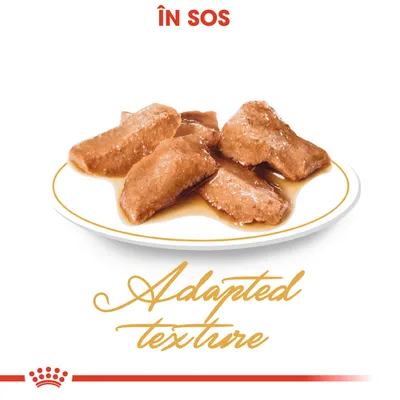 Bucăți de hrană umedă în sos pe farfurie, text vizibil: „ÎN SOS”, „Adapted texture” (engleză).