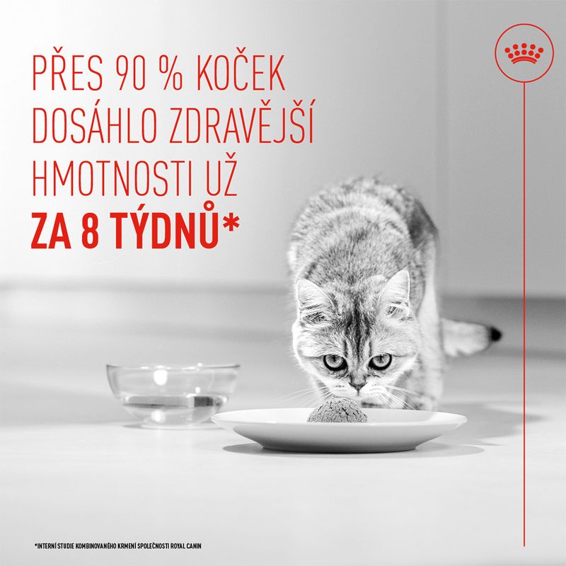 Royal Canin Light Weight Care AirLift Mousse