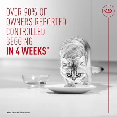 Royal Canin Appetite Control Care AirLift™ Mousse