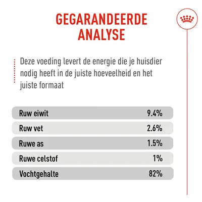 Royal Canin Appetite Control Care AirLift Mousse
