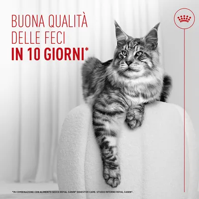 Royal Canin Digestive Care AirLift Mousse