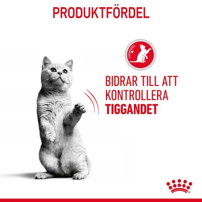 Produktfördel: Bidrar till att kontrollera tiggandet. Text och ikon med katt, Royal Canin-varumärke synligt.