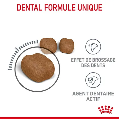 DENTAL FORMULE UNIQUE, effet de brossage des dents, agent dentaire actif. Trois croquettes marron illustrées avec icônes explicatives.