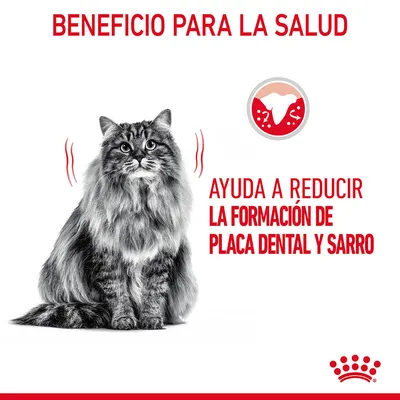 Beneficio para la salud. Ayuda a reducir la formación de placa dental y sarro. Imagen de un gato y símbolo de diente con placa.