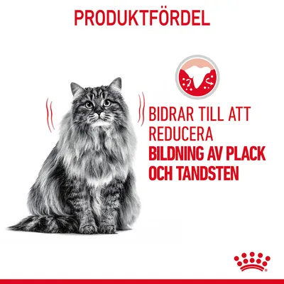 PRODUKTFÖRDEL. Bidrar till att reducera bildning av plack och tandsten. Bild på långhårig katt samt ikon med tand och plack.