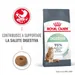 Royal Canin Digestive Care Crocchette per gatto
