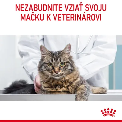 NEZABUDNITE VZIAŤ SVOJU MAČKU K VETERINÁROVI. Veterinár v bielom plášti s mačkou na vyšetrovacom stole, logo Royal Canin v pravom dolnom rohu.