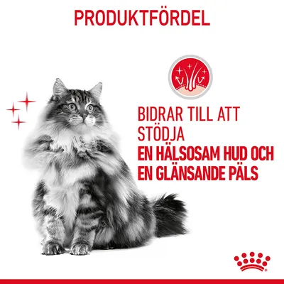 PRODUKTFÖRDEL. Bidrar till att stödja en hälsosam hud och en glänsande päls.