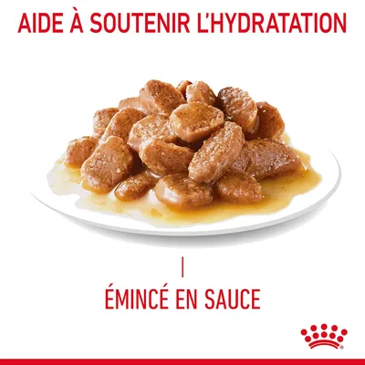 Aide à soutenir l’hydratation, émincé en sauce. Assiette de morceaux de nourriture humide en sauce, logo Royal Canin visible en bas à droite.