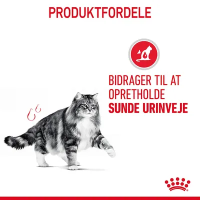 PRODUKTFORDELE. Bidrager til at opretholde sunde urinveje. Billede af kat og ikon med kat i rød cirkel.