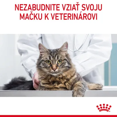 NEZABUDNITE VZIAŤ SVOJU MAČKU K VETERINÁROVI