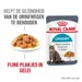 Royal Canin FCN Urinary Care in Gelei