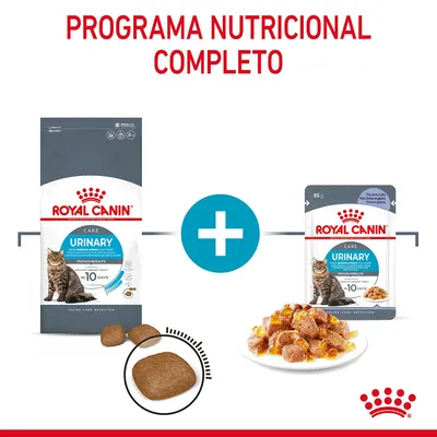 Royal Canin Urinary Care para gatos, pienso y comida húmeda en sobre de 85 g, croquetas y trozos en salsa. Texto: Programa nutricional completo.