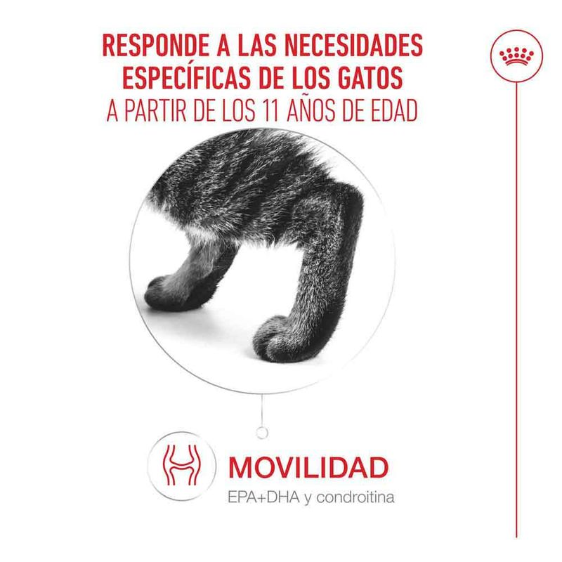 Royal Canin Ageing 11+