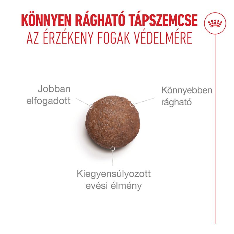 Royal Canin Ageing 11+