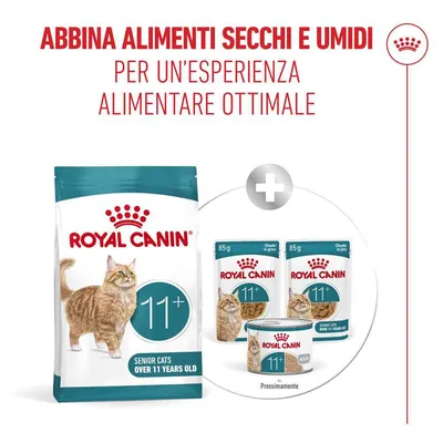Royal Canin Ageing 11+